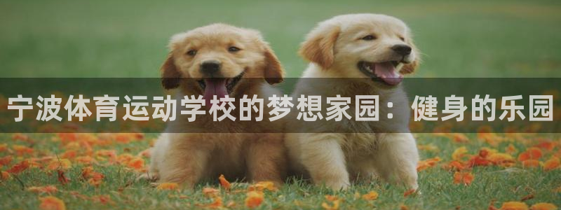 海南oety欧亿体育官网下载发展怎么样：宁波体育运动