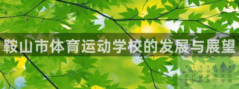 oety欧亿体育官网下载招商电话