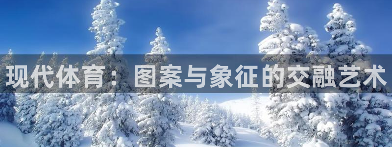 欧亿体育官方正版app娱乐平台：现代体育：图案与象征