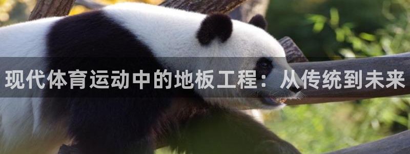 海南oety欧亿体育官网下载发展怎么样：现代体育运动