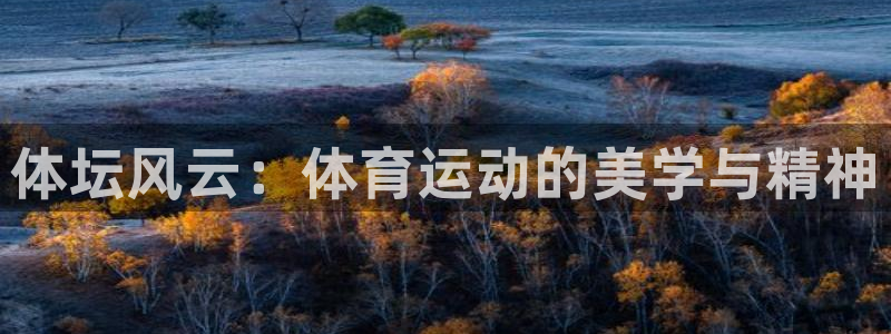 德国欧亿体育官方正版app集团：体坛风云：体育运动的美学与精