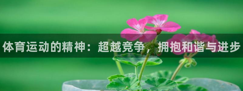 欧亿体育官方正版app官网：体育运动的精神：超越竞争，拥抱和
