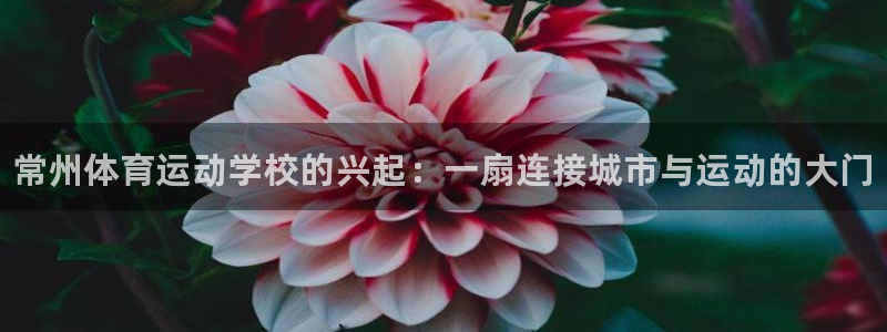 欧亿体育官方正版app开户：常州体育运动学校的兴起：一扇连接