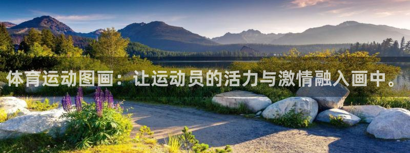 海南oety欧亿体育官网下载发展怎么样：体育运动图画：让运动