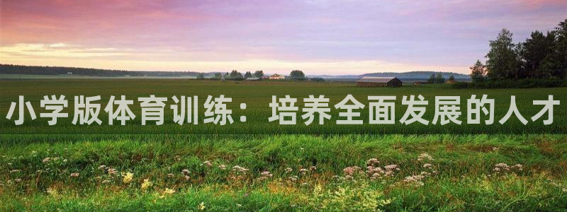 欧亿体育官方正版app五金厂：小学版体育训练：培养全