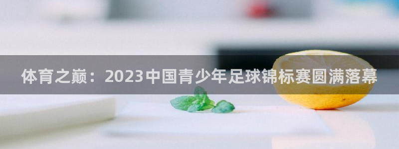 oety欧亿体育官网下载招商电话地址查询：体育之巅：2023