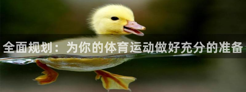 欧亿体育官方正版app五金厂：全面规划：为你的体育运动做好充