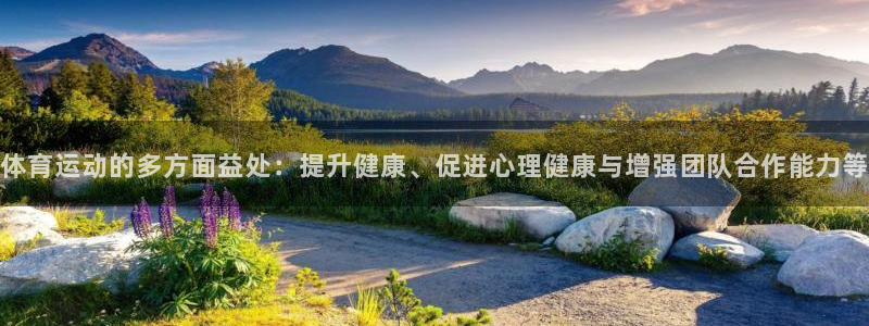 oety欧亿体育官网下载注册：体育运动的多方面益处：
