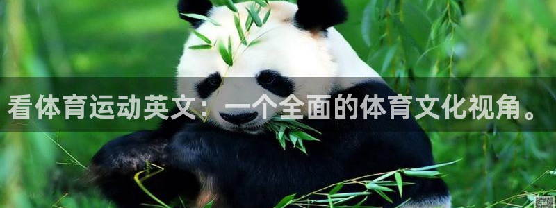 oety欧亿体育官网下载招商电话号码是多少啊：看体育