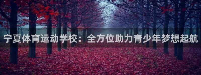 欧亿体育官方正版app集团E.ON：宁夏体育运动学校