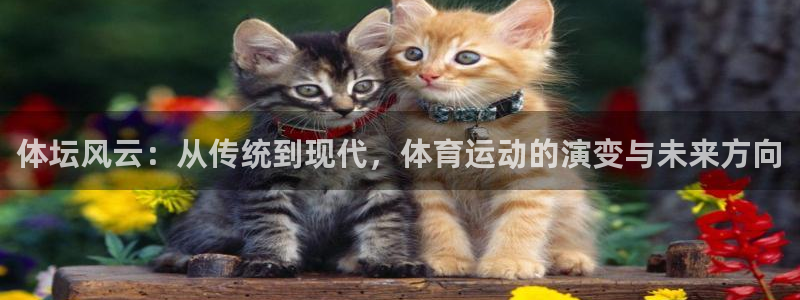 欧亿体育官方正版app集团官网首页网址：体坛风云：从传统到现