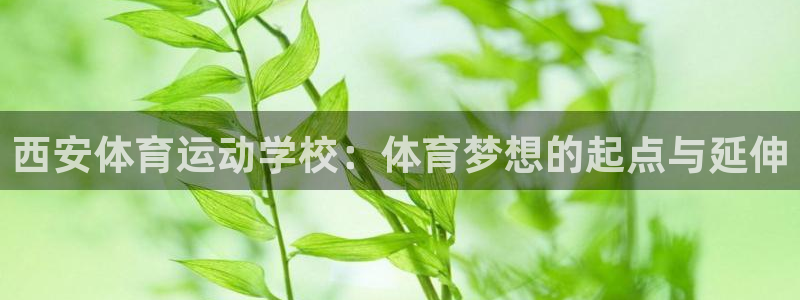 欧亿体育官方正版app新能源：西安体育运动学校：体育梦想的起