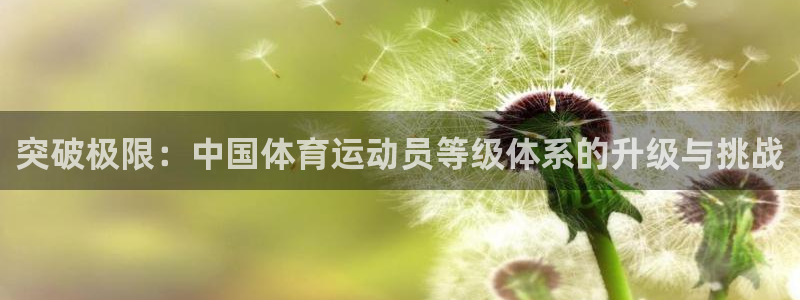 欧亿体育官方正版app新能源：突破极限：中国体育运动