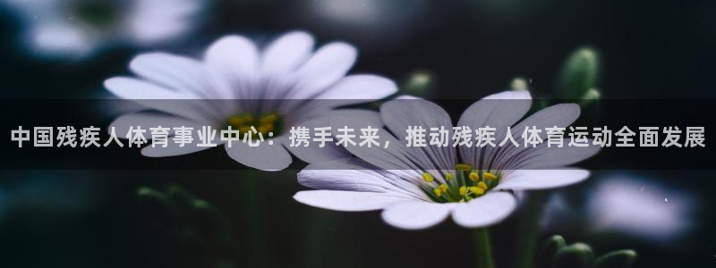 海南oety欧亿体育官网下载发展怎么样：中国残疾人体育事业中