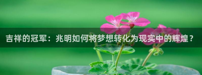 oety欧亿体育官网下载招商电话：吉祥的冠军：兆明如